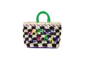 Multicolor Eres Damier Micro Basket 23h Women's Bag | WF3784921