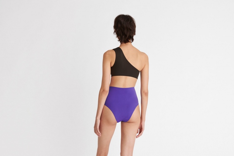 Purple Eres Conquete High-waisted Women's Bikini Bottoms | AH4783912