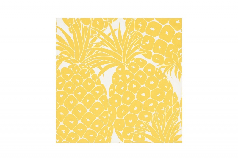 Yellow Eres Soleil Ananas Imprime Ananas Women's Scarf | KG8459732